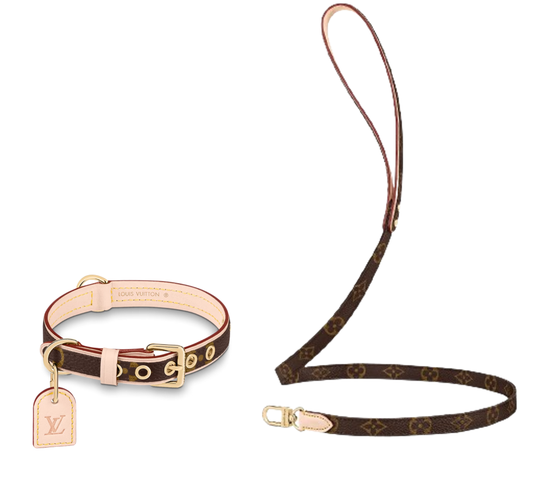 AMELIA Dog Collar & Leash