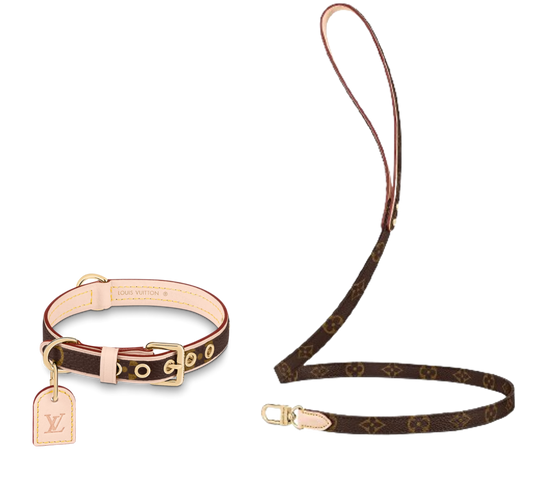 AMELIA Dog Collar & Leash