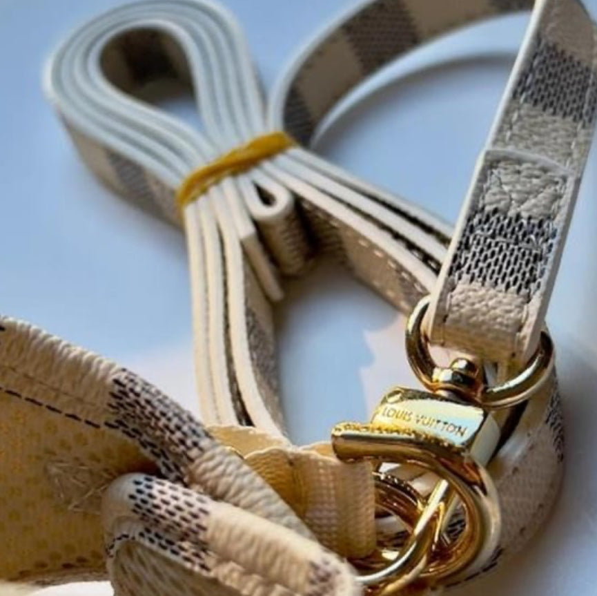 XANTHIA Dog Collar & Harness