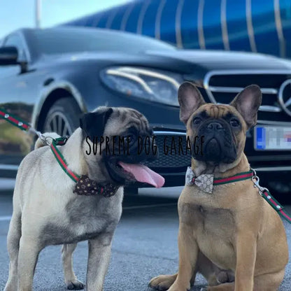 PAWCCI BOW TIE COLLAR LEASH SET