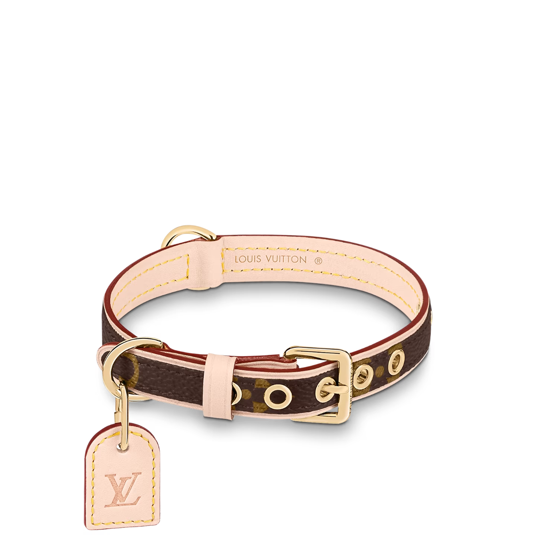 AMELIA Dog Collar & Leash