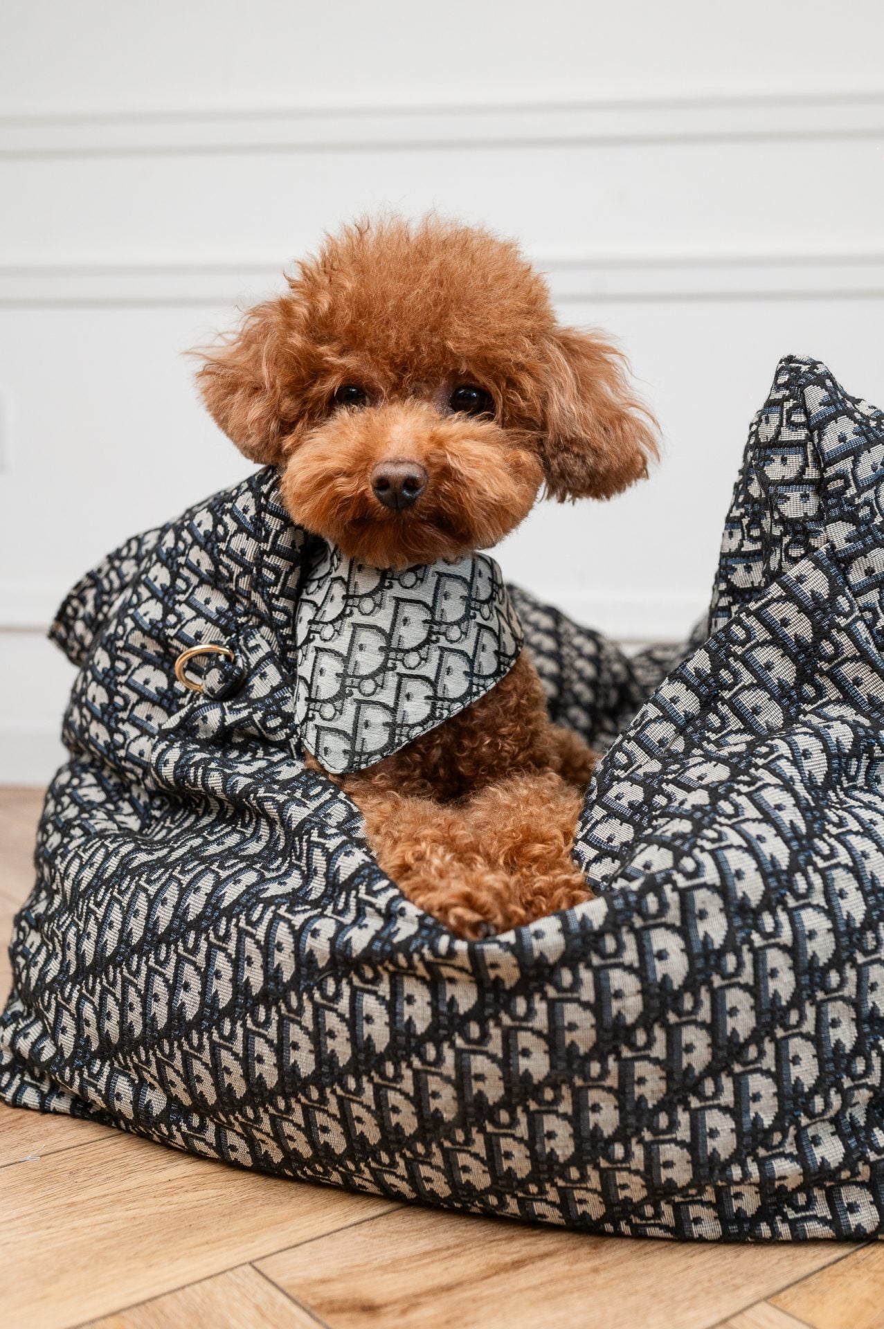 DIOARA LUXURY DOG CAR SEAT