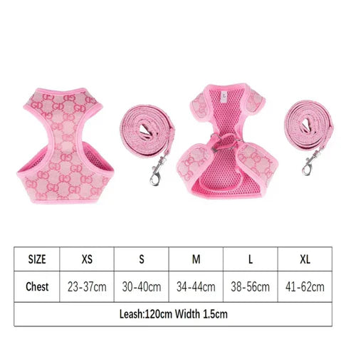 BELLA HARNESS & LEASH SET