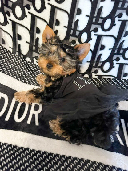 Pawdior Crystal tutu Dress