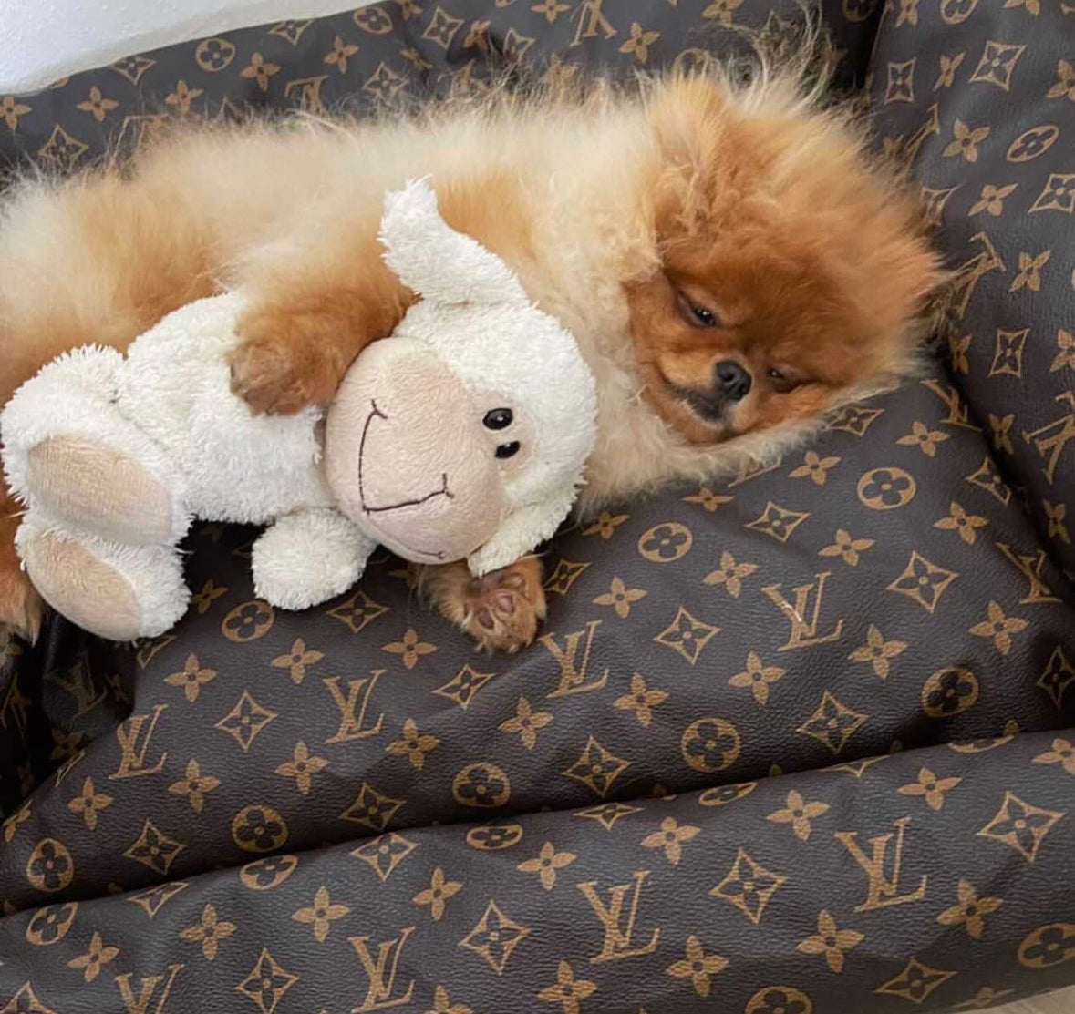 LOUIS PAWTTON ESSENTIALS DOG BED