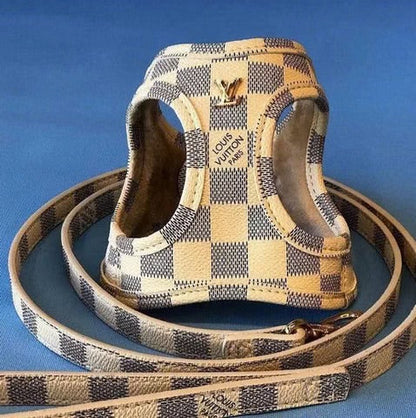 XANTHIA Dog Collar & Harness