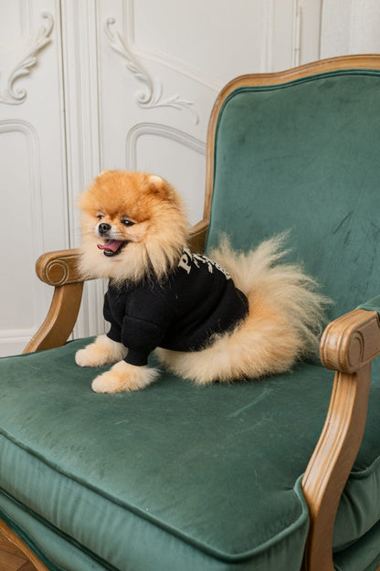 Pawda Classic Sweater