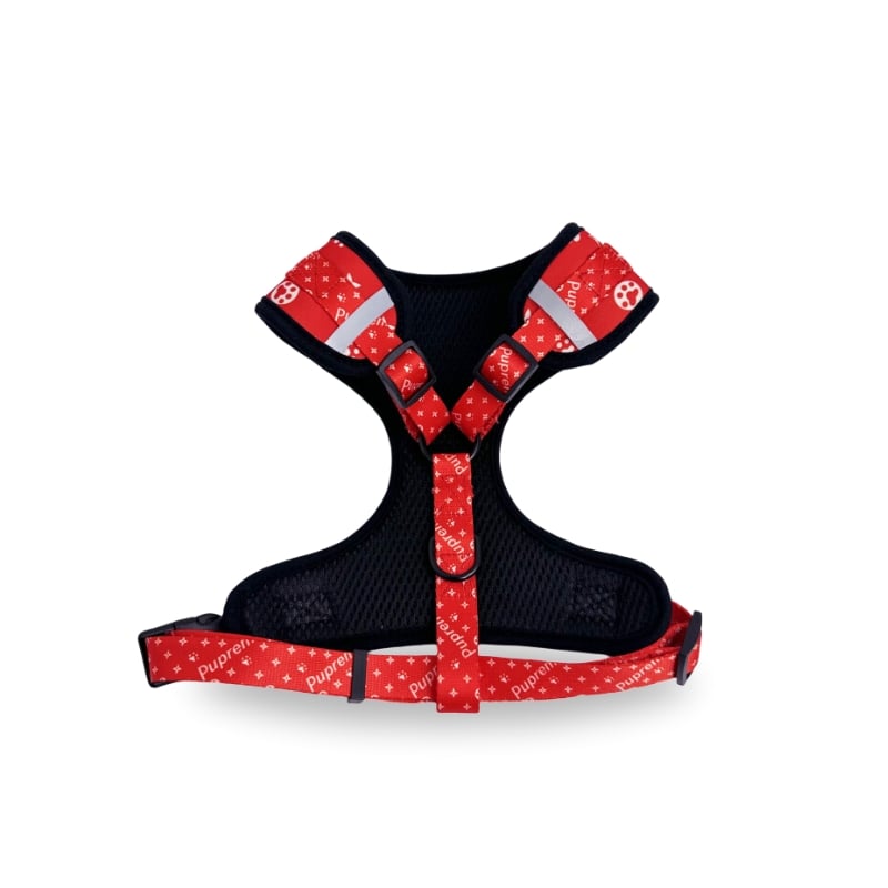 SUMA Walking Set (Collar, Harness, Leash, Bowtie, Bag)