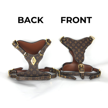 LOUIS PAWTTON HERO HARNESS & LEASH SET