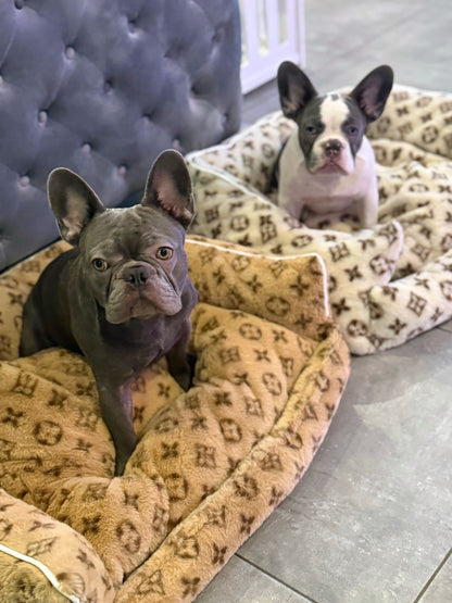 LORINA PAWTTON SOFT DOG BED