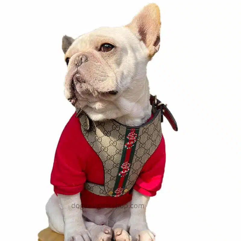 PAWCCI HERO CLASSIC HARNESS& LEASH SET