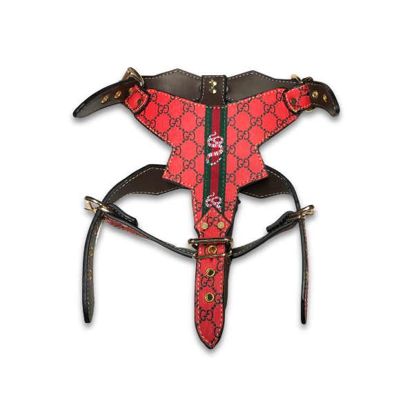 PAWCCI ROCKSTAR RED HARNESS & LEASH SET