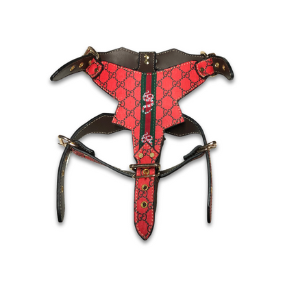 PAWCCI ROCKSTAR RED HARNESS & LEASH SET