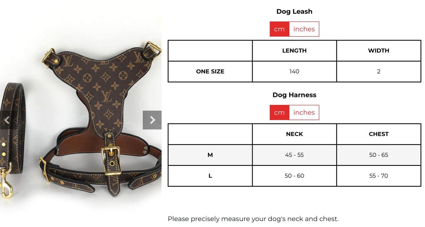 LOUIS PAWTTON HERO HARNESS & LEASH SET