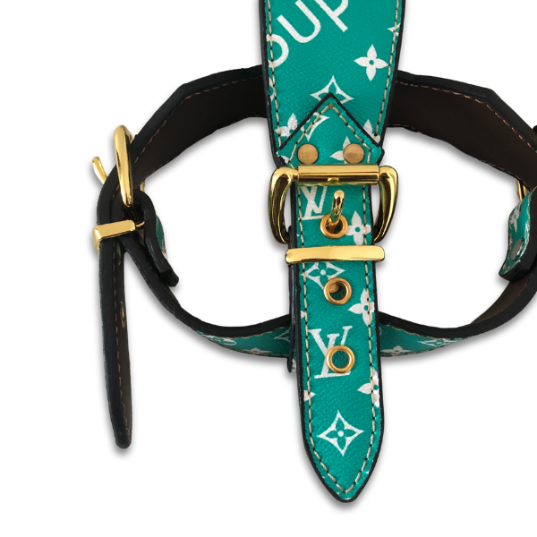 LOUIS PAWTTON X PUPREMO HERO HARNESS