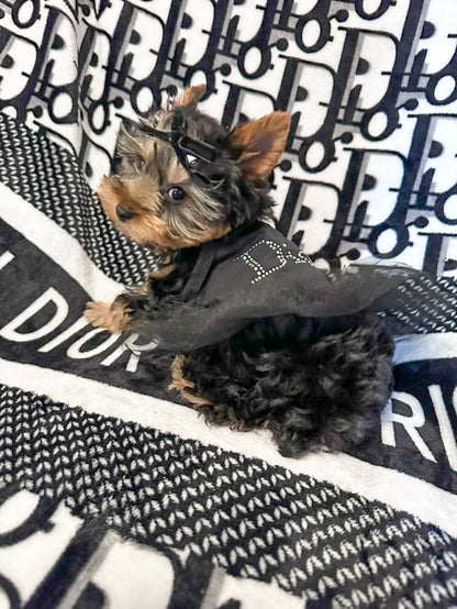 Pawdior Crystal tutu Dress