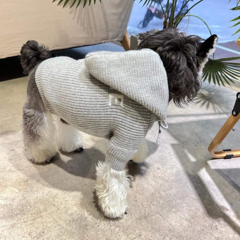 grey dog sweaters with Hoody w511#