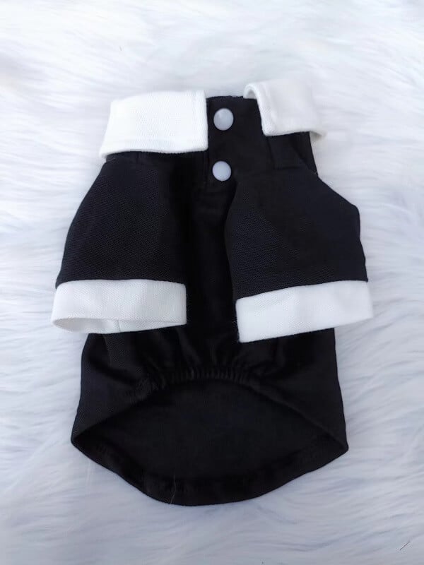 designer clothes for dogs w561#