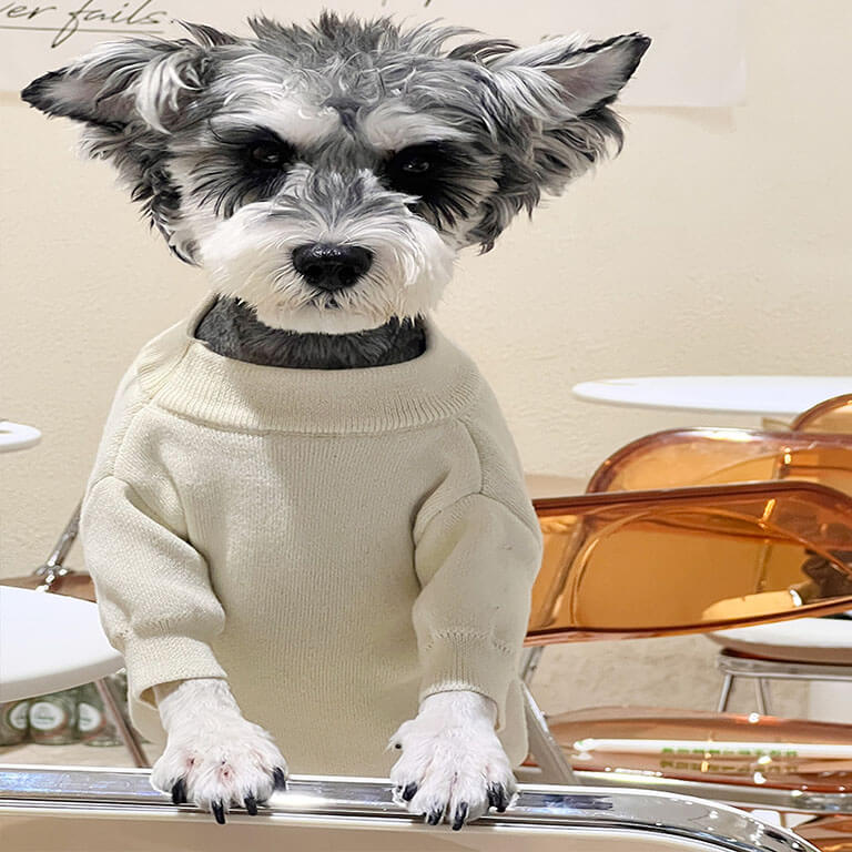 Dog sweater dupe w618#