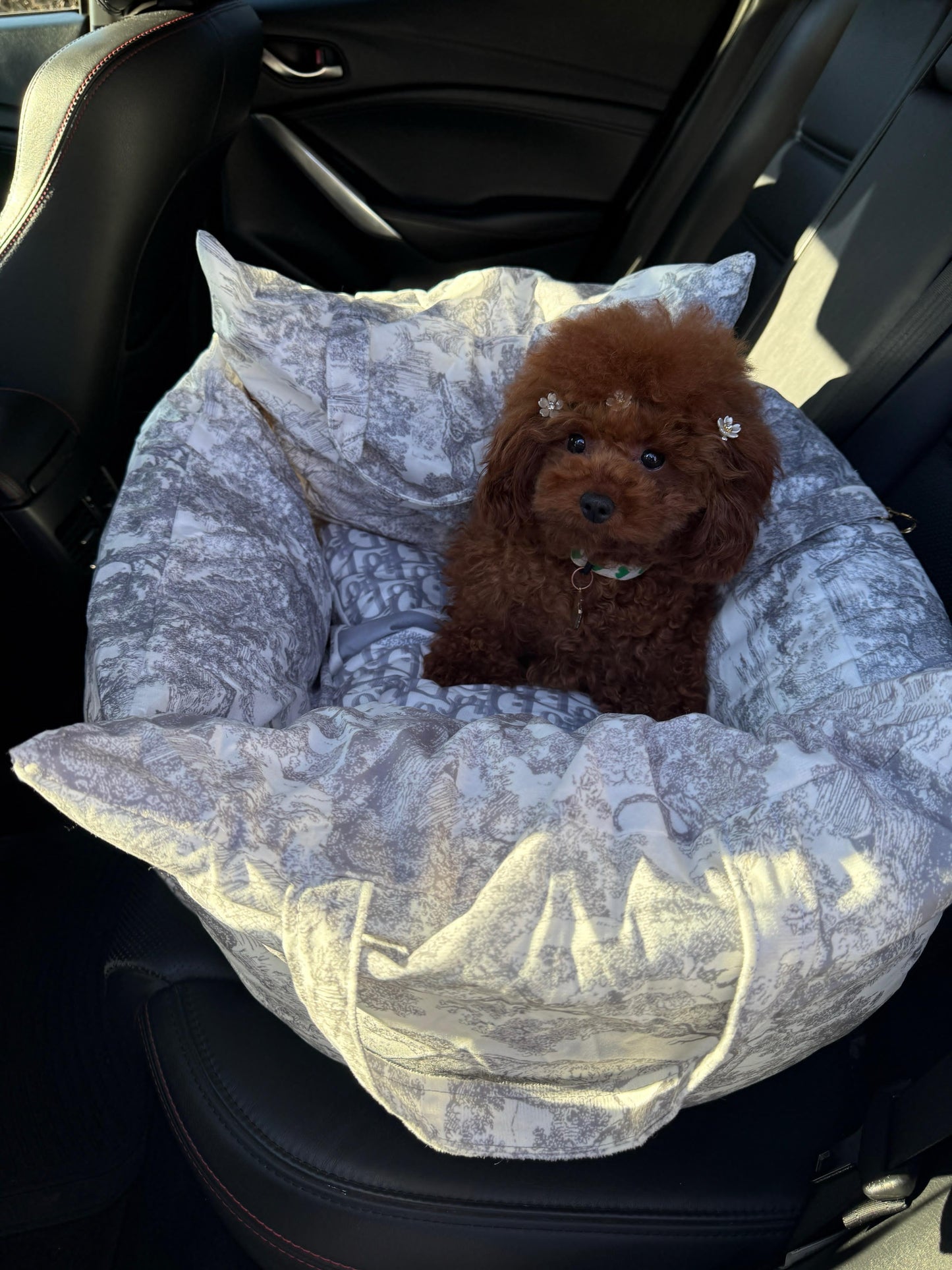 DIOARA DOG CAR SEAT