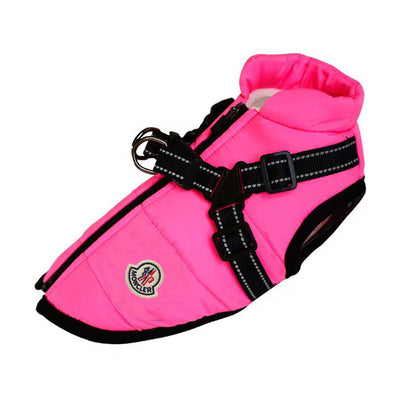 designer dog harness coat wholesale w634#