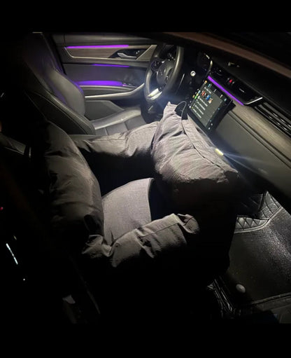 PANDA CAR BED