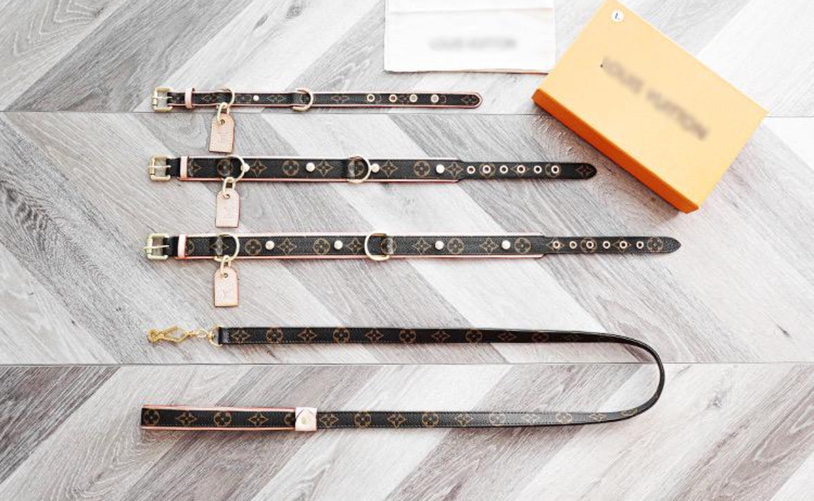 AMELIA Dog Collar & Leash