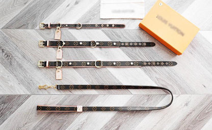 AMELIA Dog Collar & Leash