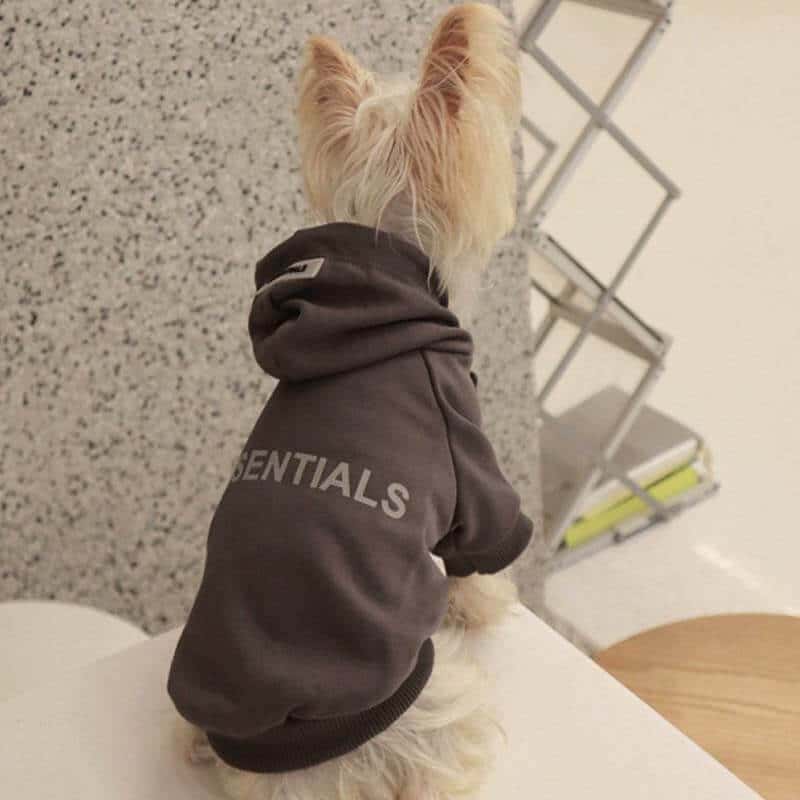 Cream grey designer dog hoodies w578#