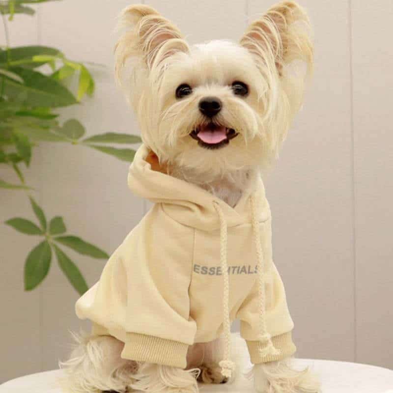 Cream grey designer dog hoodies w578#