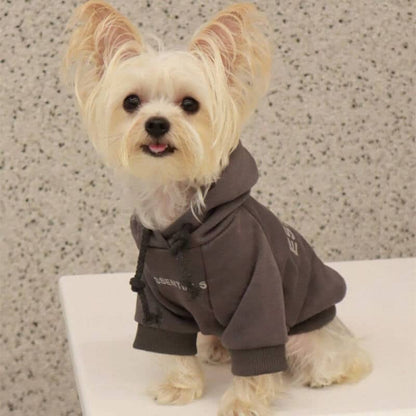 Cream grey designer dog hoodies w578#