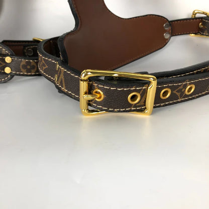 LOUIS PAWTTON HERO HARNESS & LEASH SET