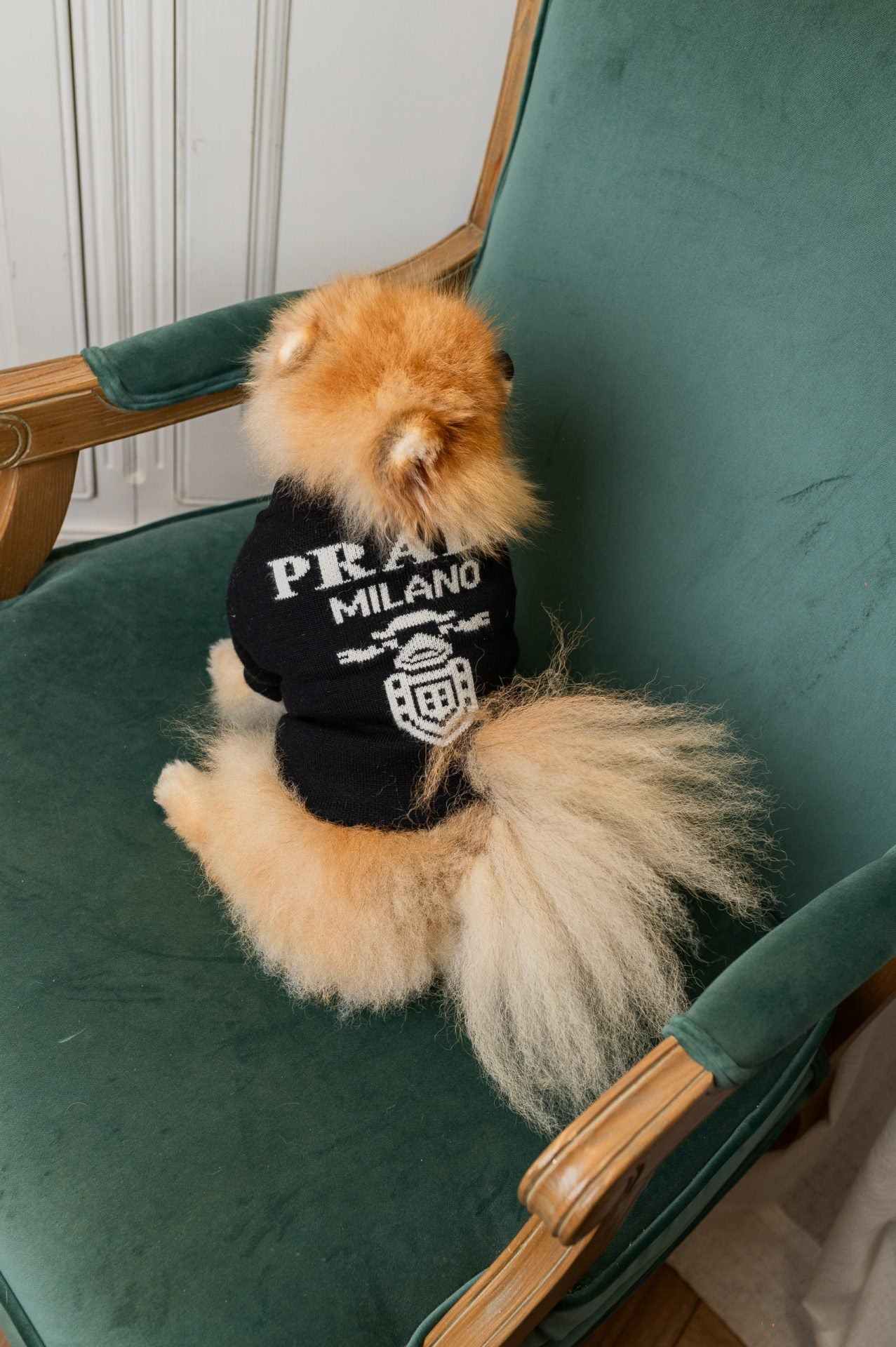 Pawda Classic Sweater