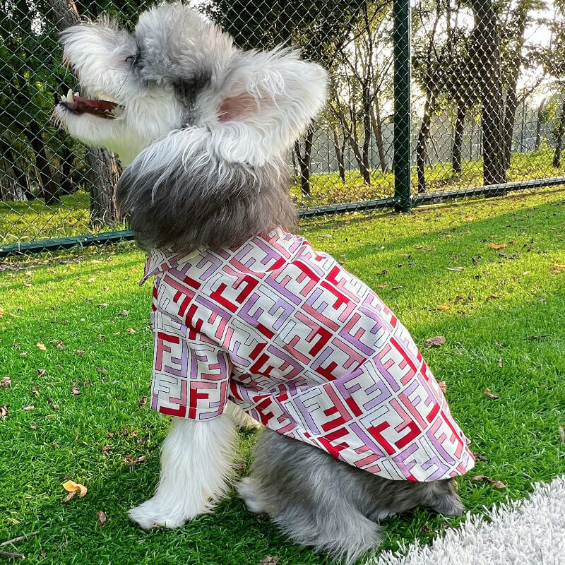 Big dog shirts w595#