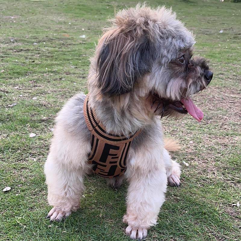 Fashion pet vest dog jumper w590#