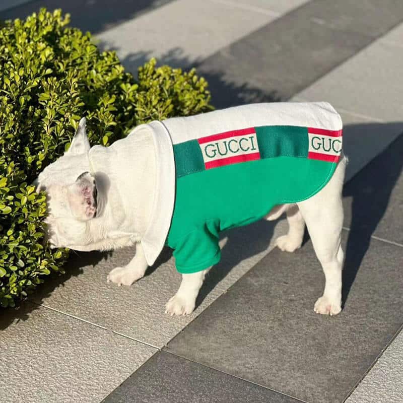 Custom Dog Polo w566#