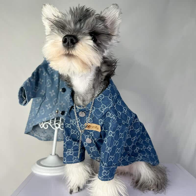 designer dog denim jacket for large and small dog w591#