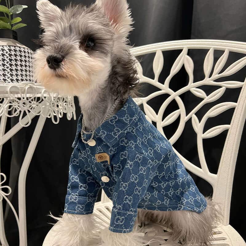 designer dog denim jacket for large and small dog w591#