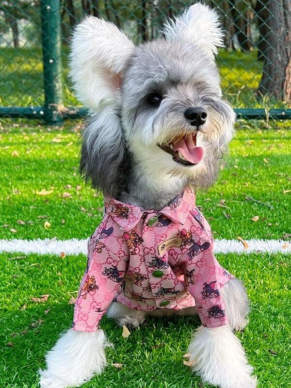 Big dog shirts 4XL w593#