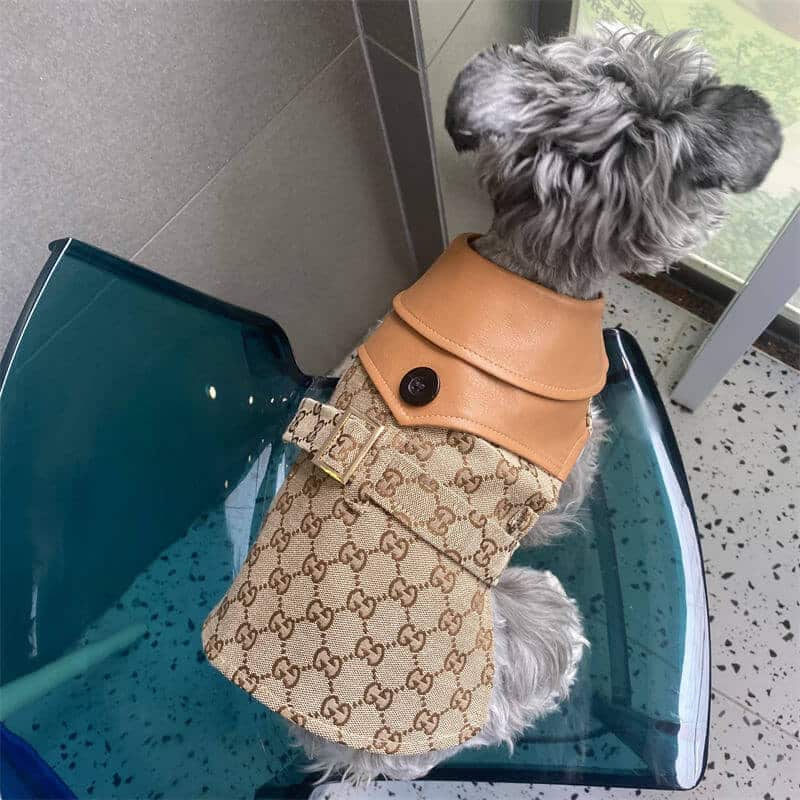 Classic dog cfrench bulldog w517#