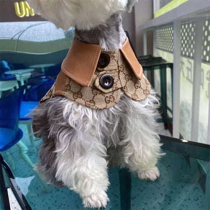 Classic dog cfrench bulldog w517#