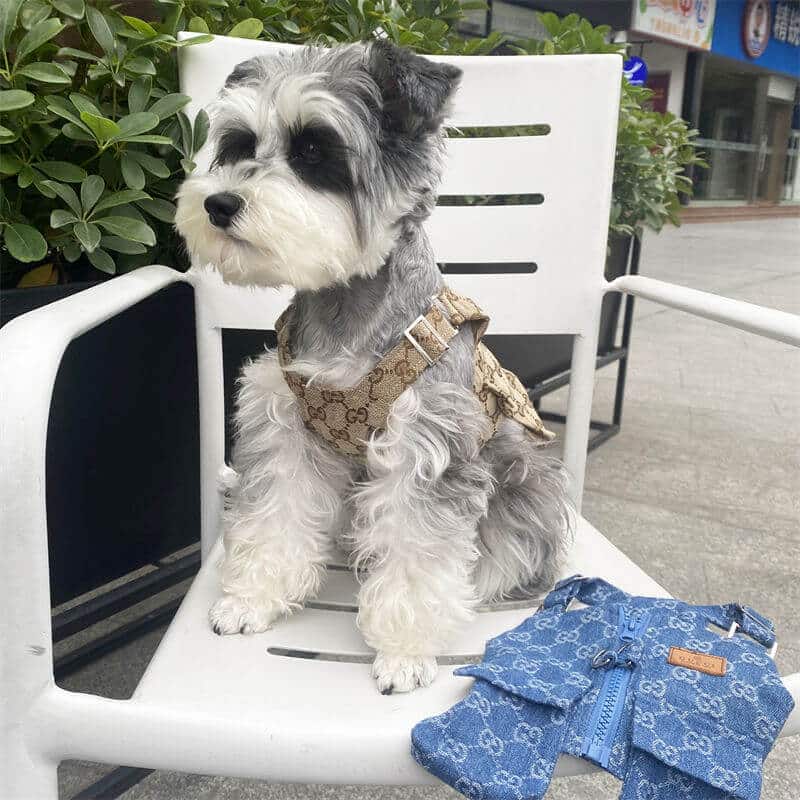 Dog suspenders w516#