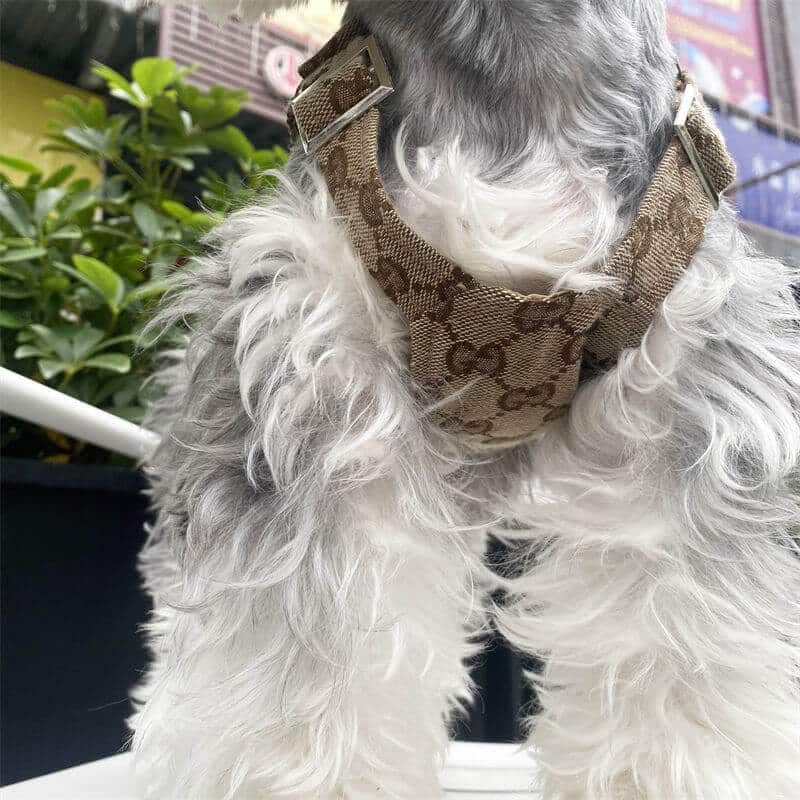 Dog suspenders w516#