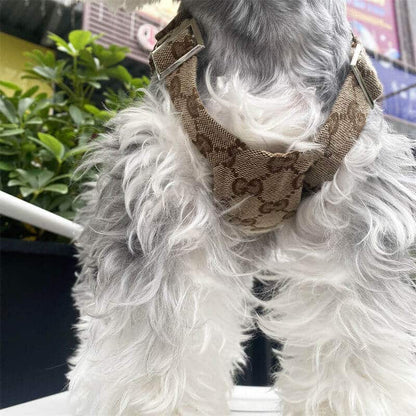 Dog suspenders w516#