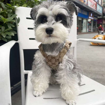 Dog suspenders w516#