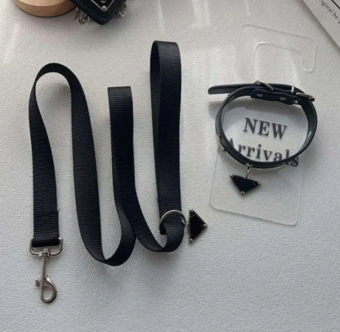 LUXURY BLACK COLLAR & LEASH SET