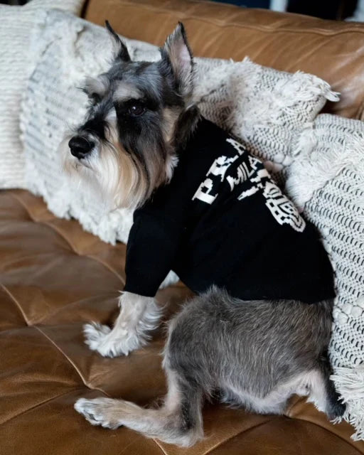 Pawda Classic Sweater