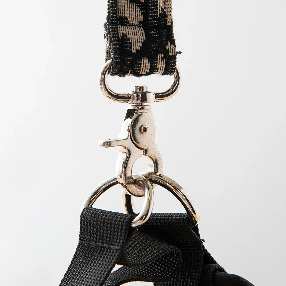 Dogior Harness & Leash Set