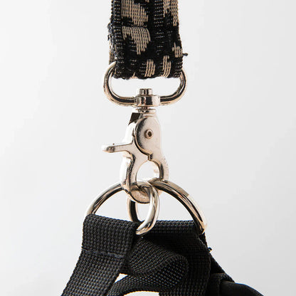 Dogior Harness & Leash Set