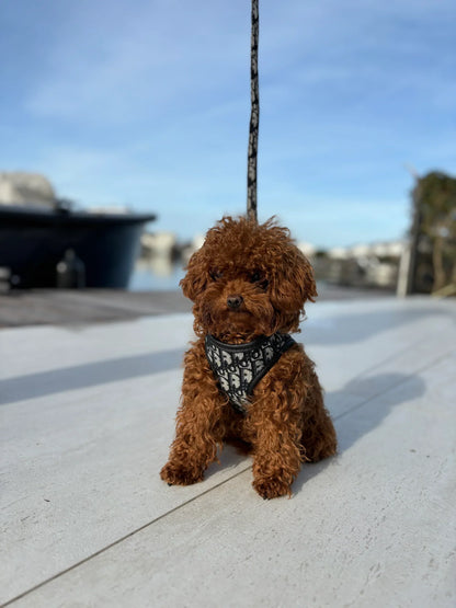 Dogior Harness & Leash Set